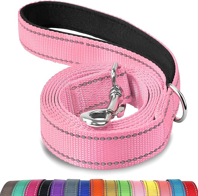 Joytale Dog Leash, 6 FT Double-Sided Reflective, Padded Handle Nylon Heavy Duty Leashes for Small Dogs Walking, Pink