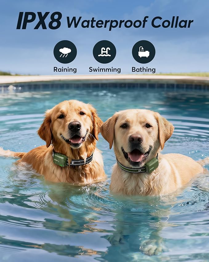 Jugbow Dog Shock Collar for 2 Dogs- Dog Training Collar with Remote 4200FT, IPX8 Waterproof Electric Dog Collar with 4 Training Modes, Security Lock, Rechargeable eCollar for 10-120lbs Dogs