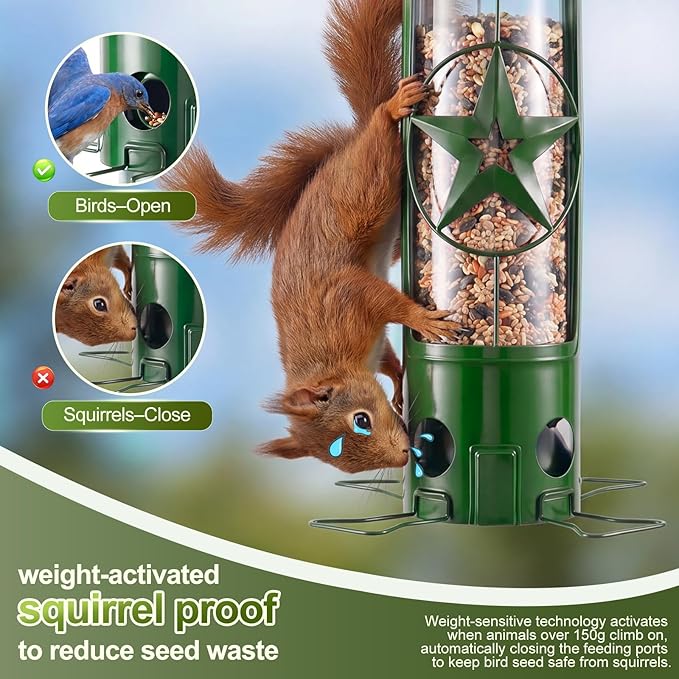 Squirrel Proof Bird Feeders for Outdoors Hanging, Metal Squirrel Proof Bird Feeder with Gravity Protection, 3LB Large Capacity Wild Bird Feeders for Outside Finch, Cardinal, Blue Jay (Green)