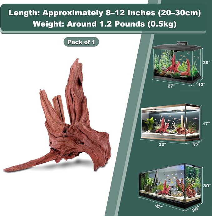 Natural Wood Driftwood for Aquarium Fish Tank Decor,Assorted Driftwood Trunk Branch for Reptile Tank Decor (MOP-ZYM Driftwood Medium (8 to12 Inch)-Pack of 1)