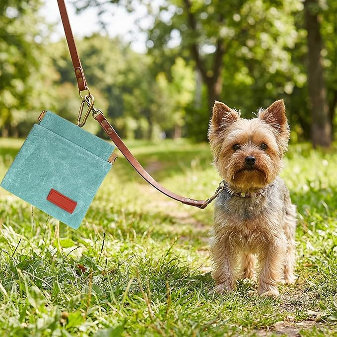 Dog Treat Pouch Blue Green Pocket Sized Pet Training Pouch Training Pouch with Carabiner Buckle Auto Closing Dog Walking Bag Pet Feed Snack Reward for Pet Puppy Travel Outdoor Use