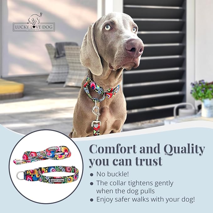 Lucky Love Dog Martingale Dog Collar & Leash - Adjustable, No-Slip, Durable, Comfortable, Soft Webbing, & Stylish Patterned Collar & Leash Set for Male and Female Dogs - Blackbird Combo, Large
