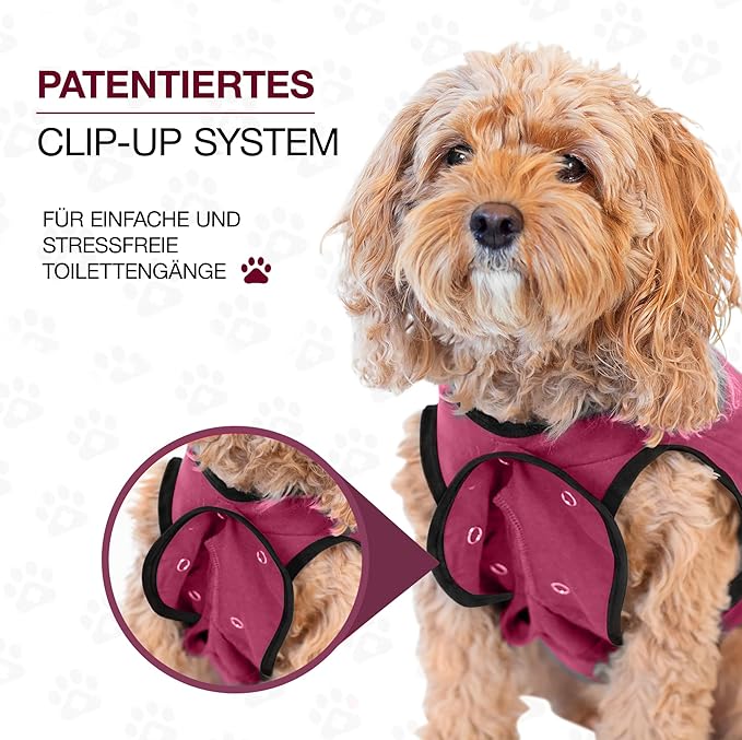 BellyGuard Dog Surgery Recovery Suit, Dog Onesie for Post-Op Care, Recovery Apparel for Female and Male, Surgical Body Cover for Canine Healing Support