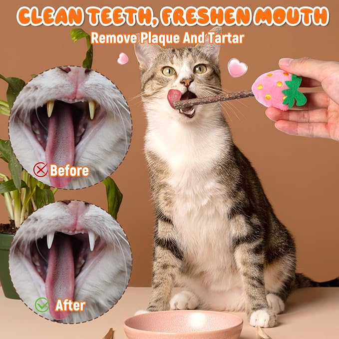 Ptwola 4 Pcs Natural Fruit Silvervine Sticks Cat Kittens Chew Toys Indoor Lollipops Interactive Cat DentalTeething Nip Treat Toys Care Teeth Cleaning for Bored Essentials Increase Appetite Kicker