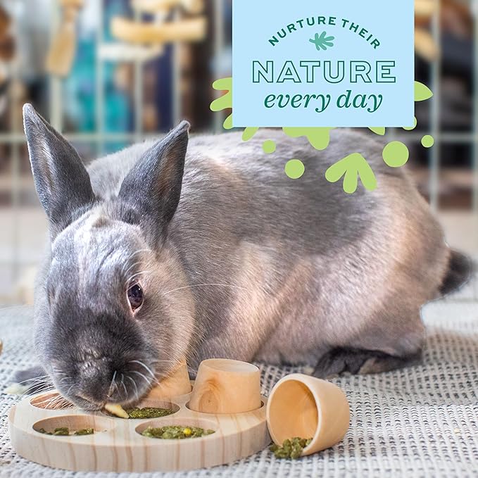 Oxbow Timothy Hay Hide & Seek Mat, Small – Rabbit & Guinea Pig Toys for Chewing & Relaxation, Enrichment for Bunny, Hamster, Chinchilla, Rat, Timothy Hay Small Animal Cage Accessories (Pack of 2)