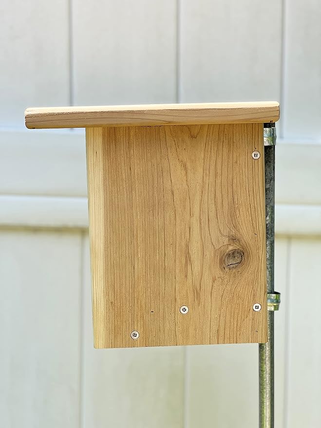 DutchCrafters Gillwood Bluebird Cedar Wood Nest Box, Outdoor Nesting Box for Birds, Wooden Bird House, Pole Mount Birdhouse for Outside - Amish Made in USA