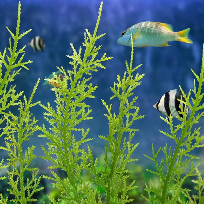 QUOZUO Fish Tank Accessories Large Plants, Green Fish Tank Decorations, Aquarium Decor Plastic Plants 3pcs