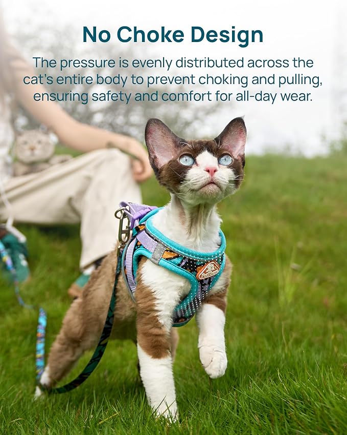 PetThem Upgraded Cat Harness and Leash Set - Step-in Escape Proof Adjustable Cat Harness, Comfortable Soft Lightweight, Reflective Harness for Walking, Travel, Camping (Butterfly Magic, XS)