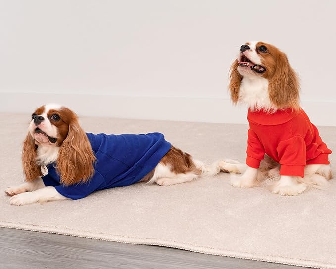 Fitwarm 3 Pack Classic Fleece Dog Sweater, Winter Clothes for Small Dogs Boy Girl, Turtleneck Dog Sweatshirt, Pet Apparel, Orange Red, Royal Blue, Neon Yellow, XS