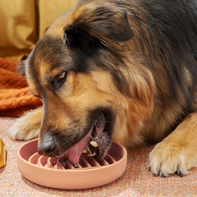 Should We Go? Slow Feeder for Dogs & Puppies, The Slowdown Bowl Silicone Slow Eating, Modern Lick Mat Design, Reduces Gulping, Fits 2 Cups, 7.5” Across x 1.5” Tall, Mealtime Challenge, Medium-Blush