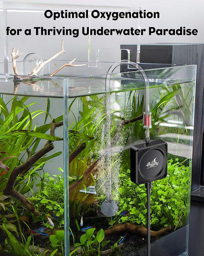 Pawfly Nano Silent Aquarium Air Pump, Mini Bubbler with Accessories, 1.3 W Portable Oxygen Aerator for 1-15 Gallon Fish Tanks, 450 mL/min
