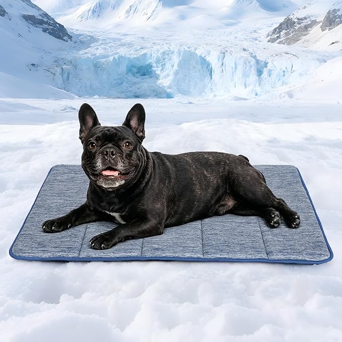 Cooling Dog Mat Q-Max>0.5 - Rapid Cooling Tech, Thin Breathable Crate Pad, Portable Washable Summer Mat, Chill Soothing Fabric - 30"x20" Medium Dog, Wander Blue