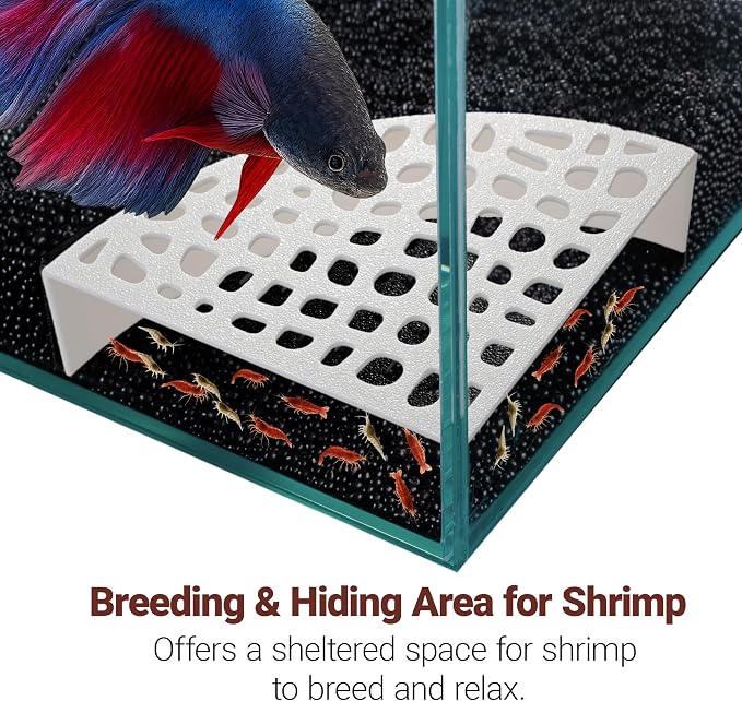 2-Pack Aquarium Shrimp Shelter Hide, 5.5x4x1.3 inches, Multi-Sized Holes for Cherry and Dwarf Shrimp
