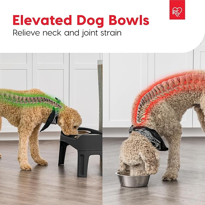IRIS USA Elevated Dog Bowls Adjustable Stand, Raised Feeding Station with 2 Stainless Steel 64 oz Bowls, Spill Guard, Dual Height 12.25" or 4.63", Made in USA, Black