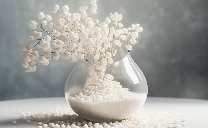 2 LBS Natural Gravel for Fish Tank, StoneCreek Betta Fish Aquarium Gravel, Vase Filler, River Rocks, Fish Tank Decorations, Perfect for Aquarium Decor, Fish Tank, & Indoor Plant, White