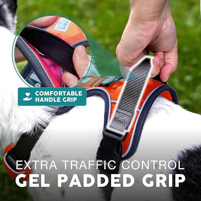 Embark Adventure Dog Harness for Small, Medium & Large Dogs – No Pull, Reflective Trim, Heavy Duty Oxford, 2 Leash Clips, Gel-Lined Handle, Soft Padded