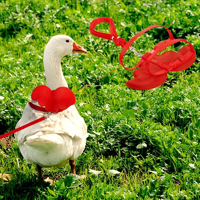 KAMA BRIDAL Duck Walking Harness and Leash Chicken Duck Outdoor Training Rope Adjustable Rope for Pet Poultry Hen Cock (M, Red)