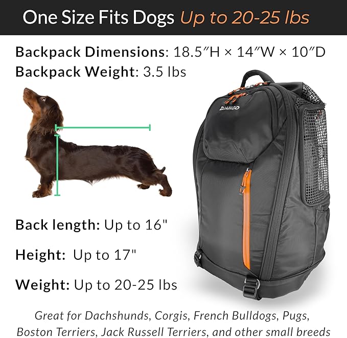 DJANGO Dog Carrier Backpack – Pet Backpack for Small Dogs & Cats with Hip Belt, Laptop Pocket & Water Bottle Sleeve – Travel Dog & Cat Carrier for Hiking, Camping & Commuting (Midnight Black)