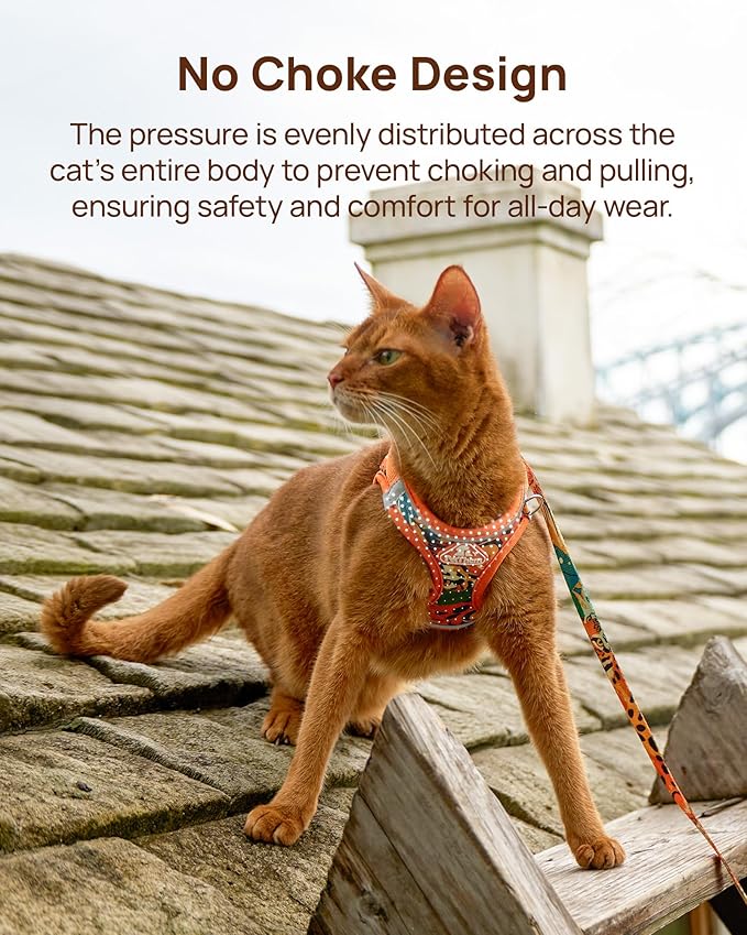 PetThem Upgraded Cat Harness and Leash Set - Step-in Escape Proof Adjustable Cat Harness, Comfortable Soft Lightweight, Reflective Harness for Walking, Travel, Camping (King of The Jungle, XS)