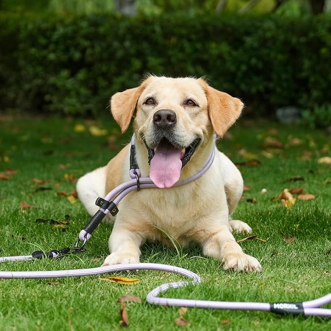 Rope Dog Leash, 4 ft Heavy Duty Dog Leash with Aviation Aluminum Auto Locking Carabiner, Strong Nylon Pet Lead for Small, Medium, Large Dogs (Blue, 4FT)