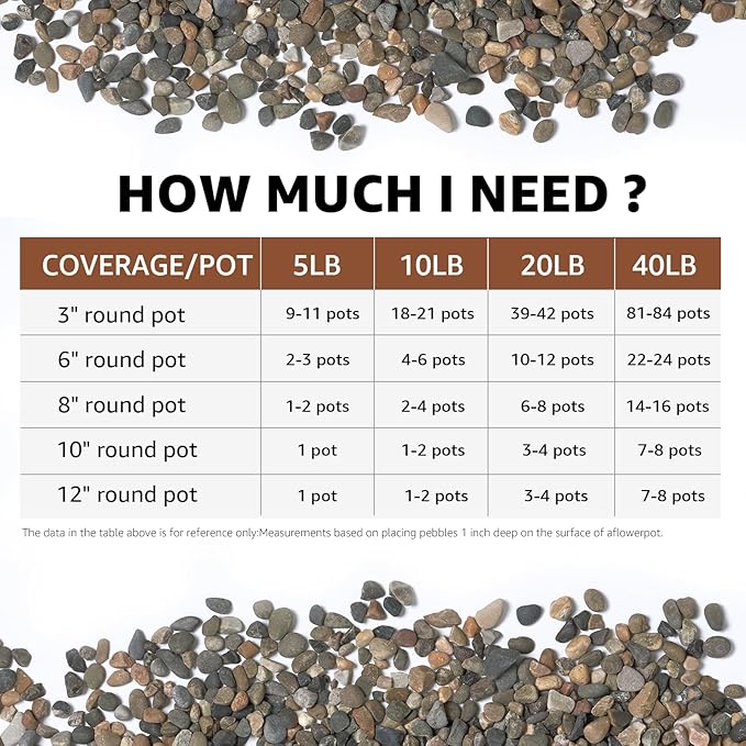 20LB Natural River Rocks, 1/4" Aquarium Gravel, Small Pebbles for Plants, Pea Gravel for Fish Tanks, Decorative Rocks for Gardening, Flower Pots, Vase Fillers, Indoor Fountains (20 LBS)