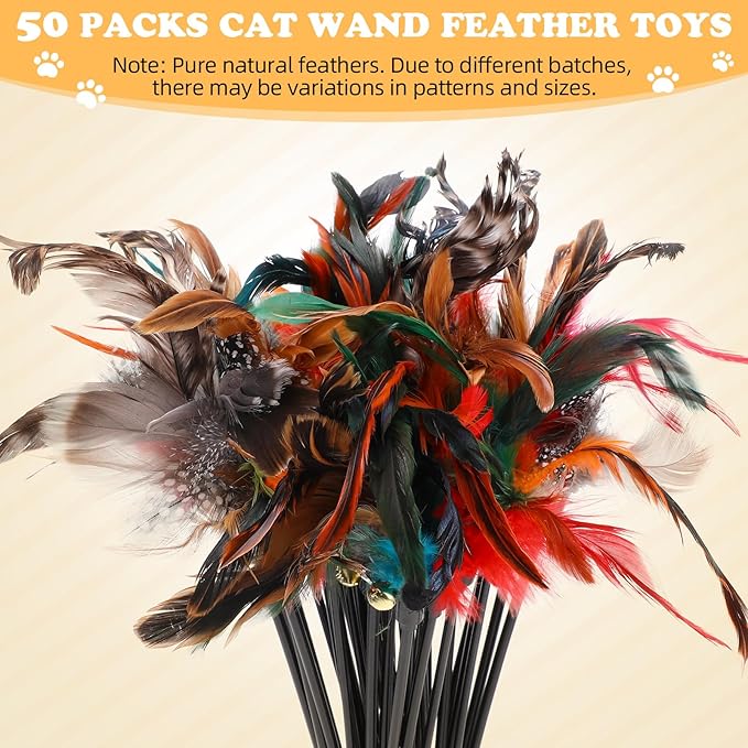 Leitee 50 Pcs Cat Wand Toy Feather Stick Cat Toy Bulk Feather Toys and Teaser Wand Bulk Interactive Stick for Indoor (Mixed Color)