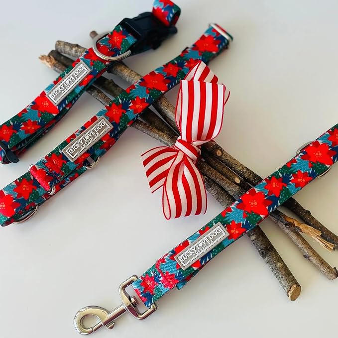 Lucky Love Dog - Easy Click Noel Dog Collar with Leash Set Combo, Durable & Comfortable for Male & Female Dogs, Pet Collar for Medium Dogs, Secure Fit - Noel Combo, Medium