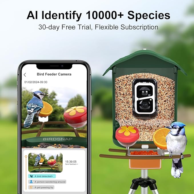 birdsnap® PAV-Bird Feeder with Camera,2K HD with 64GB Card, AI Identify Smart Bird House Cam Solar Panel,Live Stream,Motion Detection,Auto Record Video for Backyard Outdoors,Ideal Gift for Bird Lover