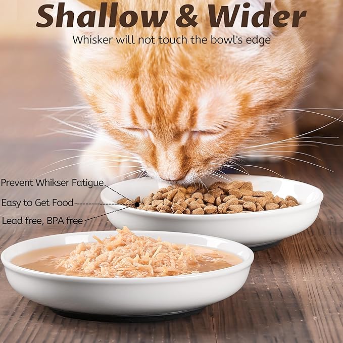 WROSWT No Spill Cat Bowls,Cat Food Bowl,Anti Whisker Fatigue Healthy Ceramic Cats Dishes Set for Indoor Cats,Shallow Wide Kitten Plates for Food and Water,Non-Slip Silicone Bottom,6 Pack