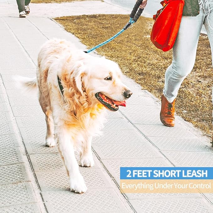 BAAPET 2/4/5/6 FT Dog Leash with Comfortable Padded Handle and Highly Reflective Threads for Small Medium and Large Dogs (2FT-1/2'', Blue)