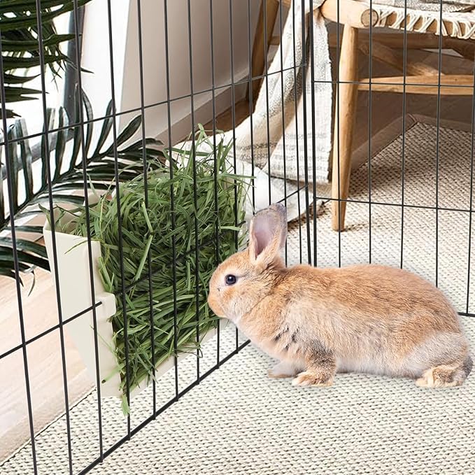 Hypeety Rabbit Hay Feeder - Automatic Plastic Cage Accessory for Guinea Pigs, Chinchillas, and Small Animals