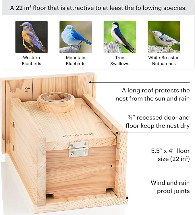 WHITEHORSE Bluebird House - Weatherproof Bird House for Outdoors - Cedar Birdhouse Built to NABS Specs - Nest Box for Western Bluebirds, Tree Swallows, Nuthatches & More (22” Floor)