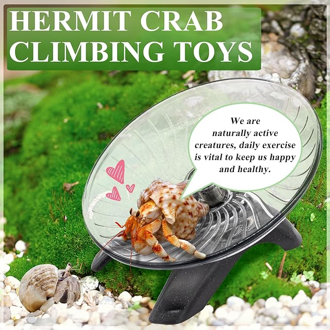 Hermit Crab Exercise Wheel - Silent Running Wheel for Crab Tank Accessories - Small Animal Wheel for Hamster Gerbils Hedgehogs