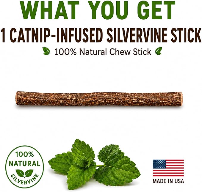 Silvervine Sticks for Cats with Catnip Oil (8 Pack) - Matatabi Cat Chew Stick Dental Toy for Teeth Cleaning - Natural Kitten Teething Chew Toys for Indoor Cats - Made in USA