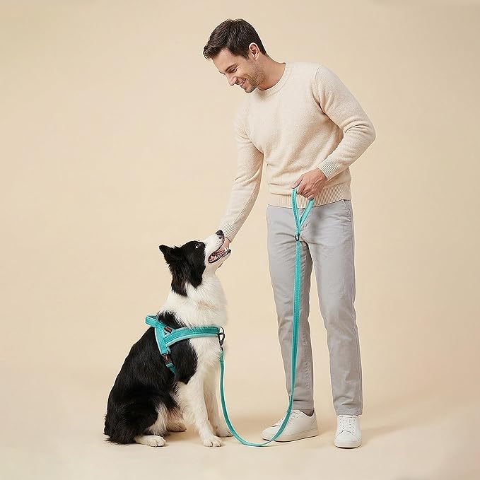Didog Soft Flannel Padded Dog Vest Harness, No Pull/Quick Fit Reflective Dog Strap Harness, Easy for Training Walking (M:Chest 22-26", Green)