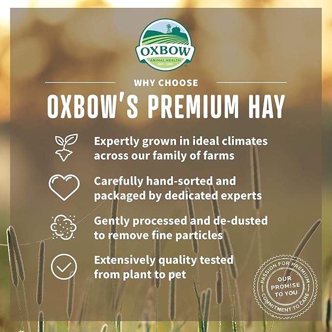 Oxbow Organic Meadow Hay, Guinea Pig & Rabbit Hay, Small Pet Bunny Supplies, All Natural Grass for Guinea Pig, Bunny, Chinchilla & Hamster, Rabbit Supplies for Bunnies, 40 oz Bag