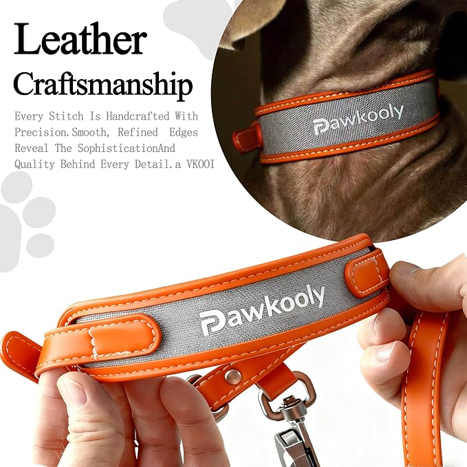 MagEase Dog Collar with 4FT Leash | Adjustable | Anti-Wrinkle, Bite & Stain-Resistant Leather | Soft & Skin-Friendly | 450LB Escape-Proof Magnetic Buckle (Orange, Extra Large)