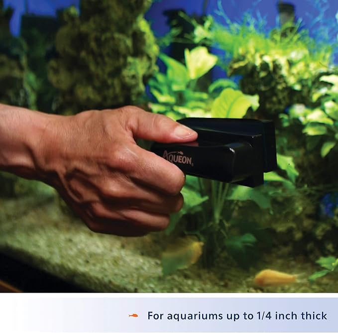 Aqueon Aquarium Algae Scraper, Fish Tank Cleaning Magnets for Glass/Acrylic, Small, Black (Pack of 3)