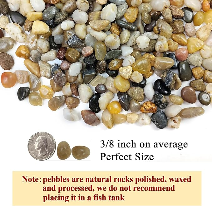 FANTIAN Pea Gravel for Fish Tank,5 lbs Polished Pebble for Plants, 1/4 Inch | Fish Tank Gravel,Decorative Stones River Rocks for Succulent Soil Cover, Cactus, Aquarium, Vase, Outdoor Garden Landscaping
