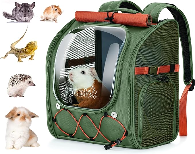 Pecute Small Pet Carrier, Breathable Guinea Pig Carrier with Transparent Bubble & Steel Frame, Safety Lock for Hamster, Rabbit, Bearded Dragon, Lizard, Ideal for Hiking, Vet Visits, Camping, Green