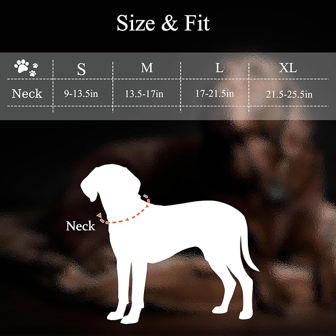 MagEase Dog Collar with 4FT Leash | Adjustable | Anti-Wrinkle, Bite & Stain-Resistant Leather | Soft & Skin-Friendly | 450LB Escape-Proof Magnetic Buckle (Orange, Small)