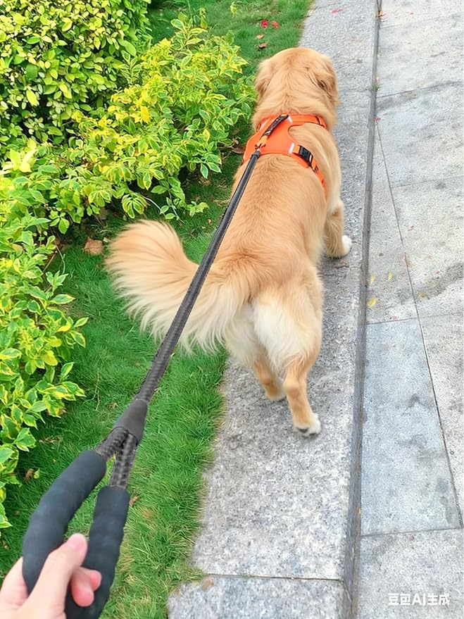 Black Dog Leash, 6 FT Heavy Duty Rope Dog Leash with Padded Handle Strong Nylon Reflective Leads for Medium Large Dogs, Training, Walking (1/2")