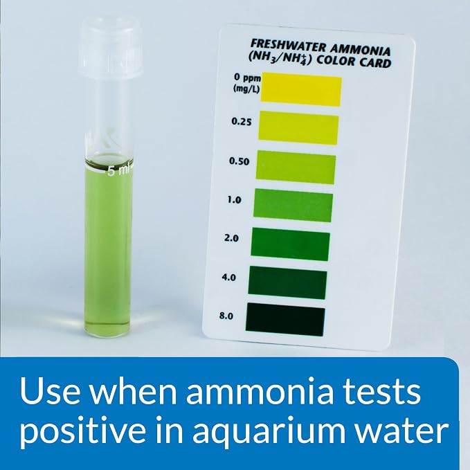 API AMMO-LOCK Freshwater and Saltwater Aquarium Ammonia Detoxifier 16-Ounce Bottle | For Freshwater and Saltwater