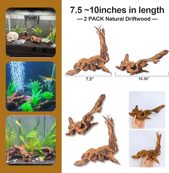 Natural Driftwood Decor for Aquarium Decorations Reptile Tank Accessories, Assorted Wood Branches Decorations on Reptile Fish Tank 2-10" 2 Pcs/4 Pcs/ 5 Pcs/ 6 Pcs (Pack of 2 (7.5 to 10 Inch))