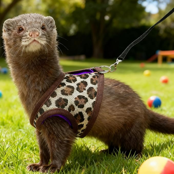 Ferret Harness and Leash Set, Adjustable Vest Harness for Ferrets, Cute Small Animal Harness for Guinea Pig, Squirrel, Rat, Safe Walking Accessories for Outdoor