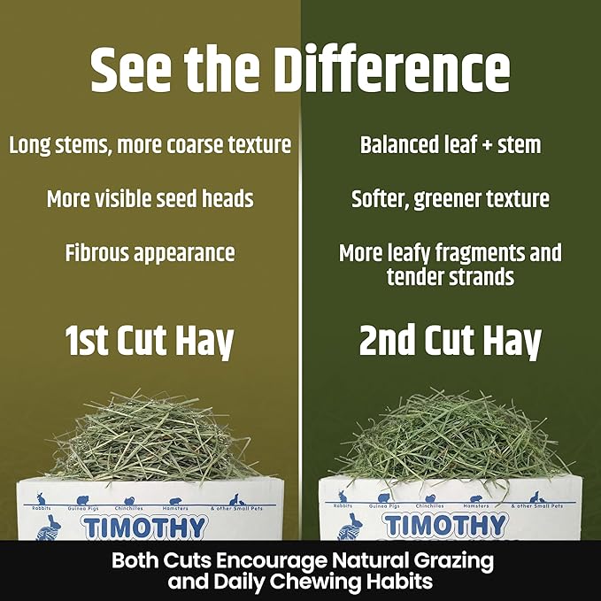 High Desert 2nd Cutting Timothy Hay for Rabbits, Guinea Pigs, Chinchillas and Small Pets, Soft Leafy for Daily Feeding and Digestive Health, Natural Rabbit Food and Guinea Pig Hay for Hay, 14 Oz Box