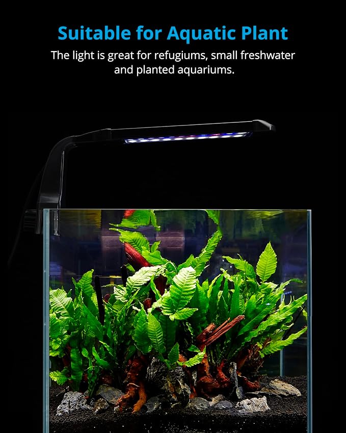 NICREW Slim Aqaurium Filter & Clip on Aquarium Light