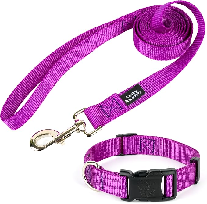 Country Brook Petz - Everyday Nylon Dog Collar and Leash - 10+ Cool Colors (3/4 Inch, Medium, Bright Purple)