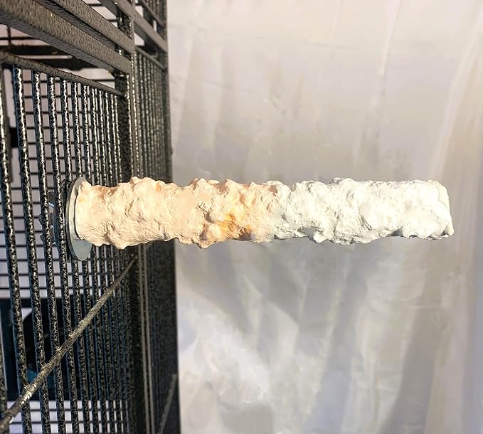 Polly's Edible Cuttlebone Calcium Bird Cage Perch for Budgies, Parakeets, Amazons, Blue & Golds, Macaws and Cockatoos.… (Orange, Medium)