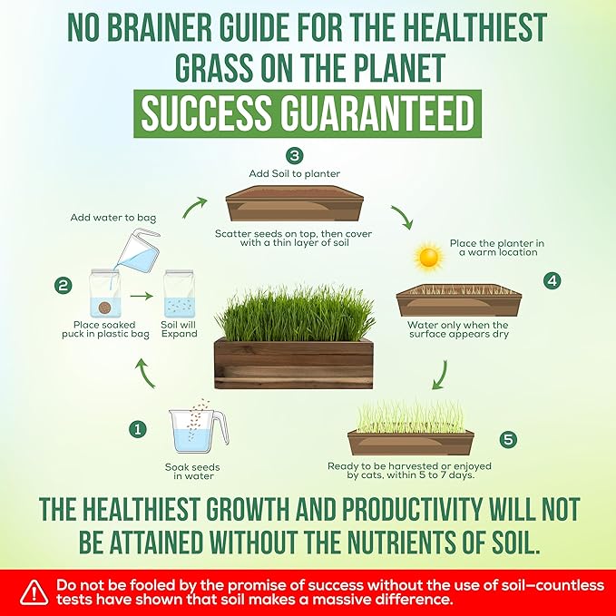 Cat Grass for Indoor Cats - Ornamental Indoor Planter with Pet/Cat Grass Growing kit, Handcrafted in the USA from Red Cedar (Aged Tourquoise)